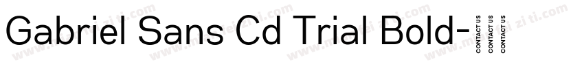 Gabriel Sans Cd Trial Bold字体转换